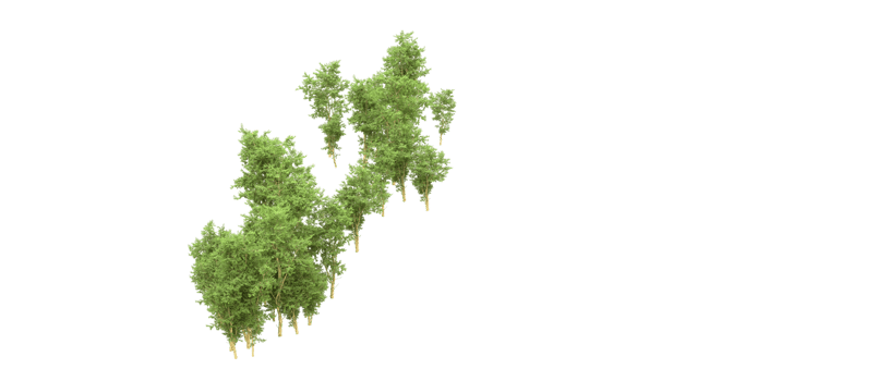 Green forest isolated on background. 3d rendering - illustration png