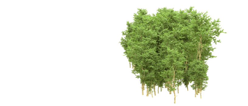 Green forest isolated on background. 3d rendering - illustration png
