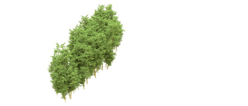 Green forest isolated on background. 3d rendering - illustration png