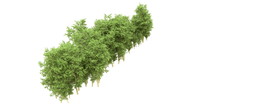 Green forest isolated on background. 3d rendering - illustration png
