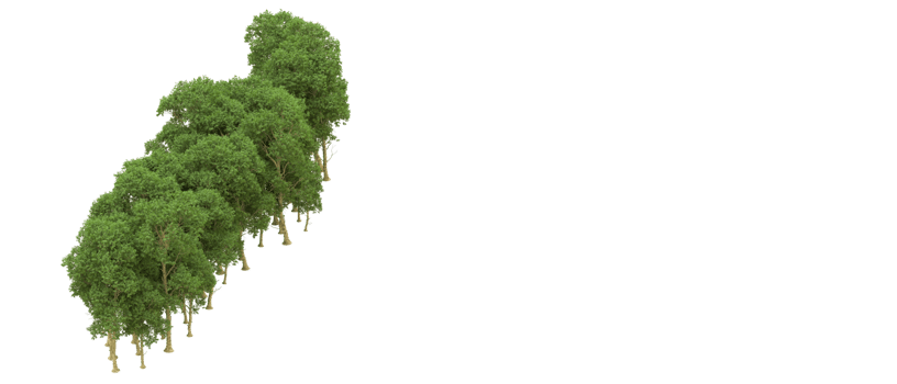Green forest isolated on background. 3d rendering - illustration png