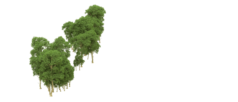 Green forest isolated on background. 3d rendering - illustration png