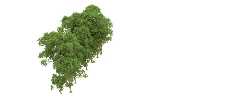 Green forest isolated on background. 3d rendering - illustration png