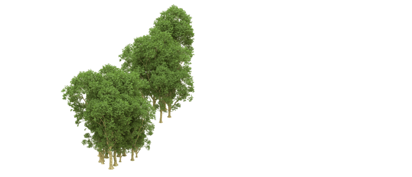 Green forest isolated on background. 3d rendering - illustration png