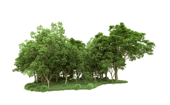Green forest isolated on background. 3d rendering - illustration png