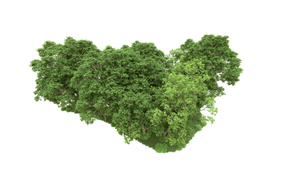 Green forest isolated on background. 3d rendering - illustration png