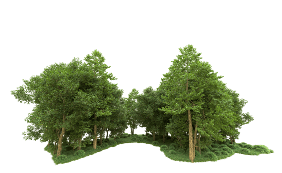 Green forest isolated on background. 3d rendering - illustration png