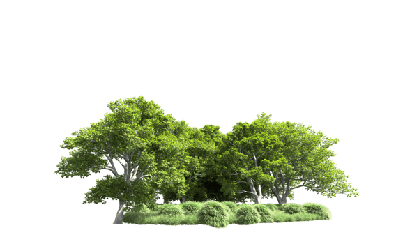 Green forest isolated on background. 3d rendering - illustration png