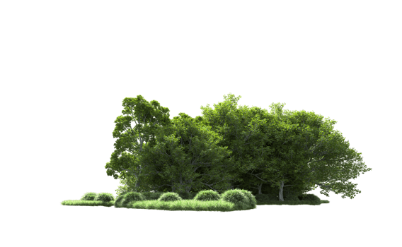 Green forest isolated on background. 3d rendering - illustration png