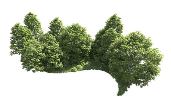 Green forest isolated on background. 3d rendering - illustration png