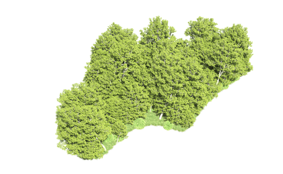 Green forest isolated on background. 3d rendering - illustration png