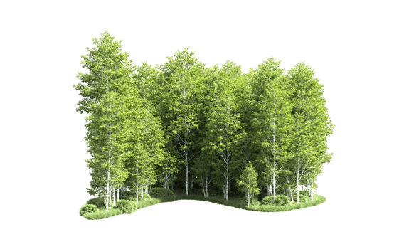 Green forest isolated on background. 3d rendering - illustration png