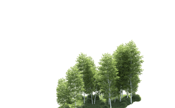 Green forest isolated on background. 3d rendering - illustration png