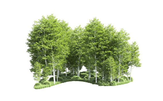 Green forest isolated on background. 3d rendering - illustration png