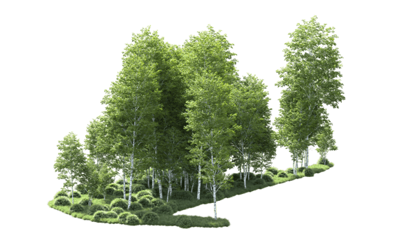 Green forest isolated on background. 3d rendering - illustration png