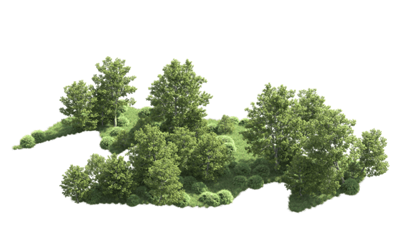 Green forest isolated on background. 3d rendering - illustration png