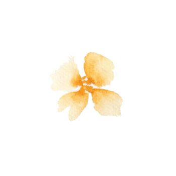 watercolor simple peach flowers png