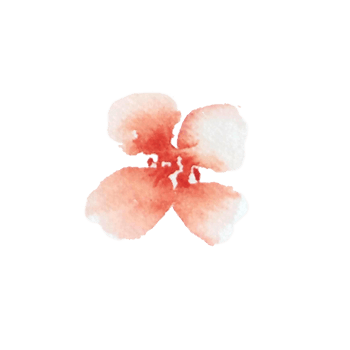 watercolor simple peach flowers png