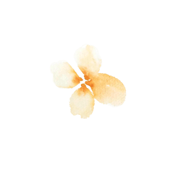 watercolor simple peach flowers png