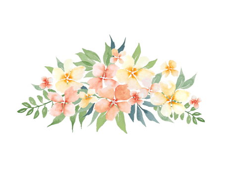watercolor simple peach flowers png