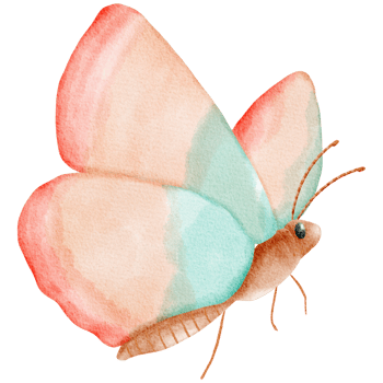 Colorful Butterfly Watercolor Illustration png