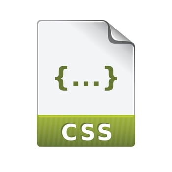 CSS file format icon in color. Computer web page style vector