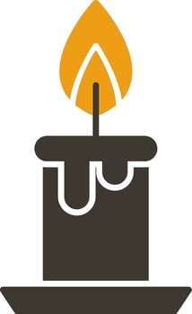 Burning Glyph Two Colour Icon vector