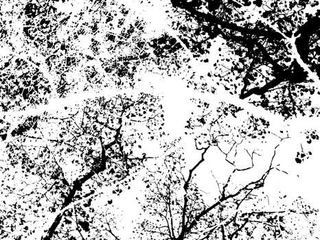 Rustic grunge texture with grain and stains. Abstract noise background. PNG graphic illustration with transparent background.