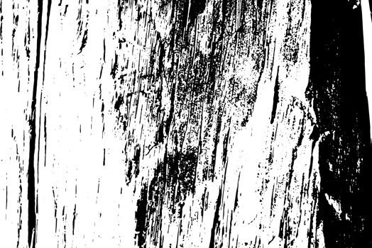 Rustic grunge texture with grain and stains. Abstract noise background. PNG graphic illustration with transparent background.
