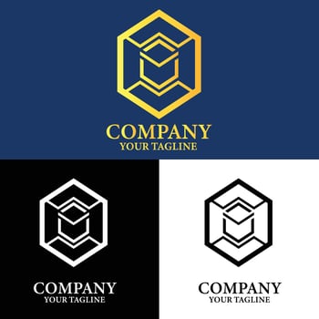 A sleek and modern hexagonal emblem symbolizing company innovation and forward thinking. vector