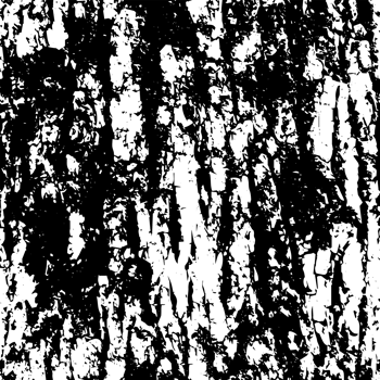 Rustic grunge texture with grain and stains. Abstract noise background. PNG graphic illustration with transparent background.
