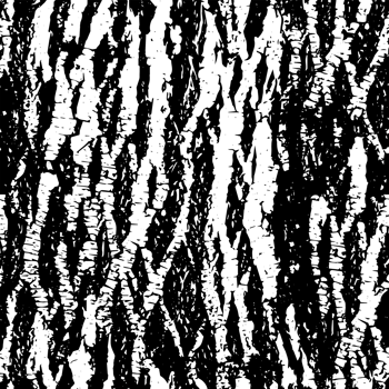 Rustic grunge texture with grain and stains. Abstract noise background. PNG graphic illustration with transparent background.