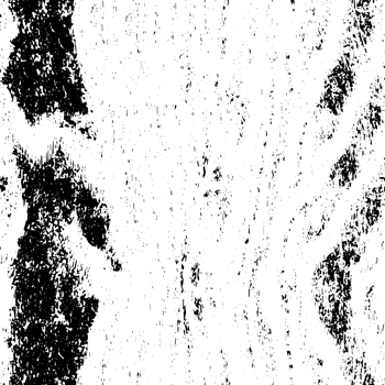 Rustic grunge texture with grain and stains. Abstract noise background. PNG graphic illustration with transparent background.