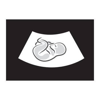 fetus icon logo vector design template