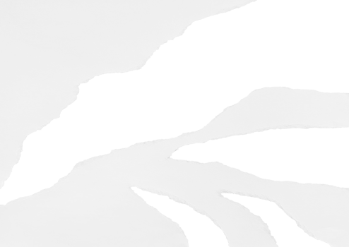 White Torn Paper Background png