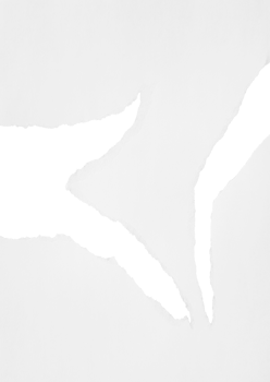 White Torn Paper Background png