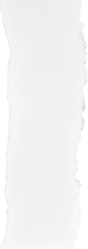 White Torn Paper png