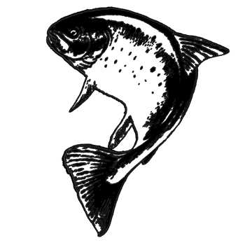 logo of animal in water call fish png