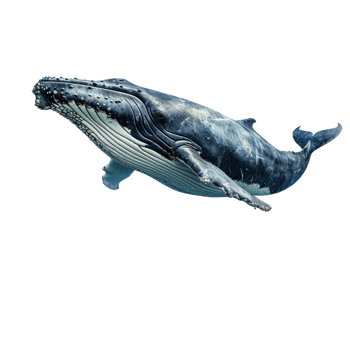 AI generated Blue whale on transparent background png