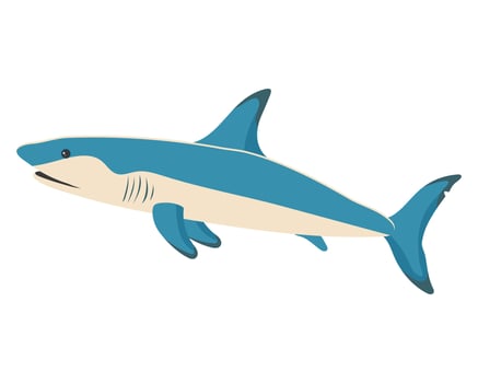 Sea fish, ocean shark. Zoological concept. Sea animals illustration, vector