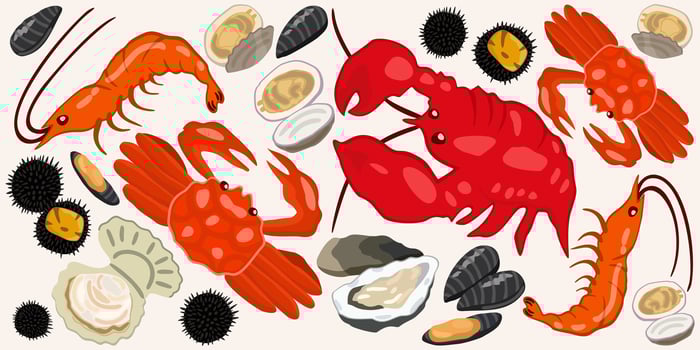 Vector set of marine animals. Shrimps, crabs, lobster, clam, oyster, sea urchin, scallop, mussel