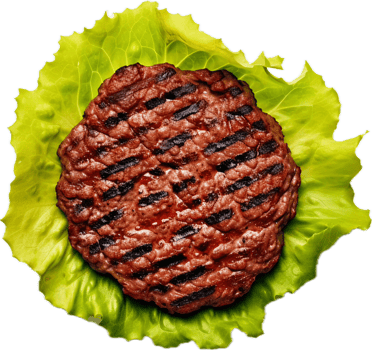 AI generated Top view of grilled hamburger on lettuce leaf png
