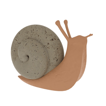 Snail isolated on transparent png