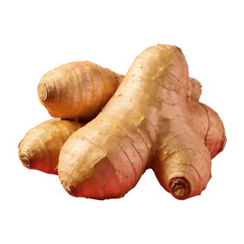 AI generated Transparent background highlights fresh ginger isolated png