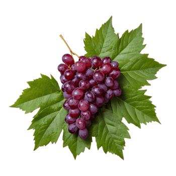 AI generated Red grapes and leaves on transparent background isolated png