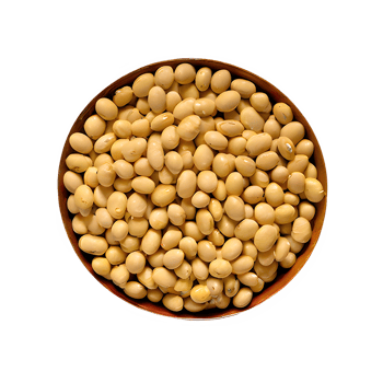 AI generated Roasted soybeans isolated on transparent background png
