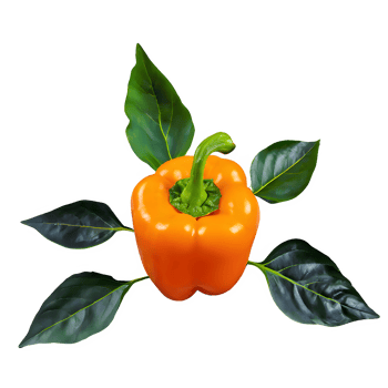 AI generated Ripe pepper with leaves isolated on transparent background png