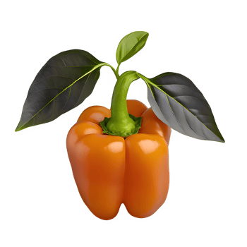 AI generated Ripe pepper with leaves isolated on transparent background png