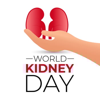 World Kidney Day. Human Kidney health concept. kidney shaped with two hand. Greeting card, poster, flyer and Banner, background design. vector