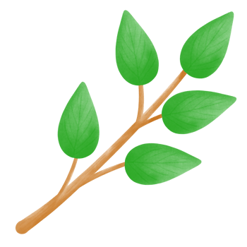 Fresh green leaves branch, Saint Patrick's day png
